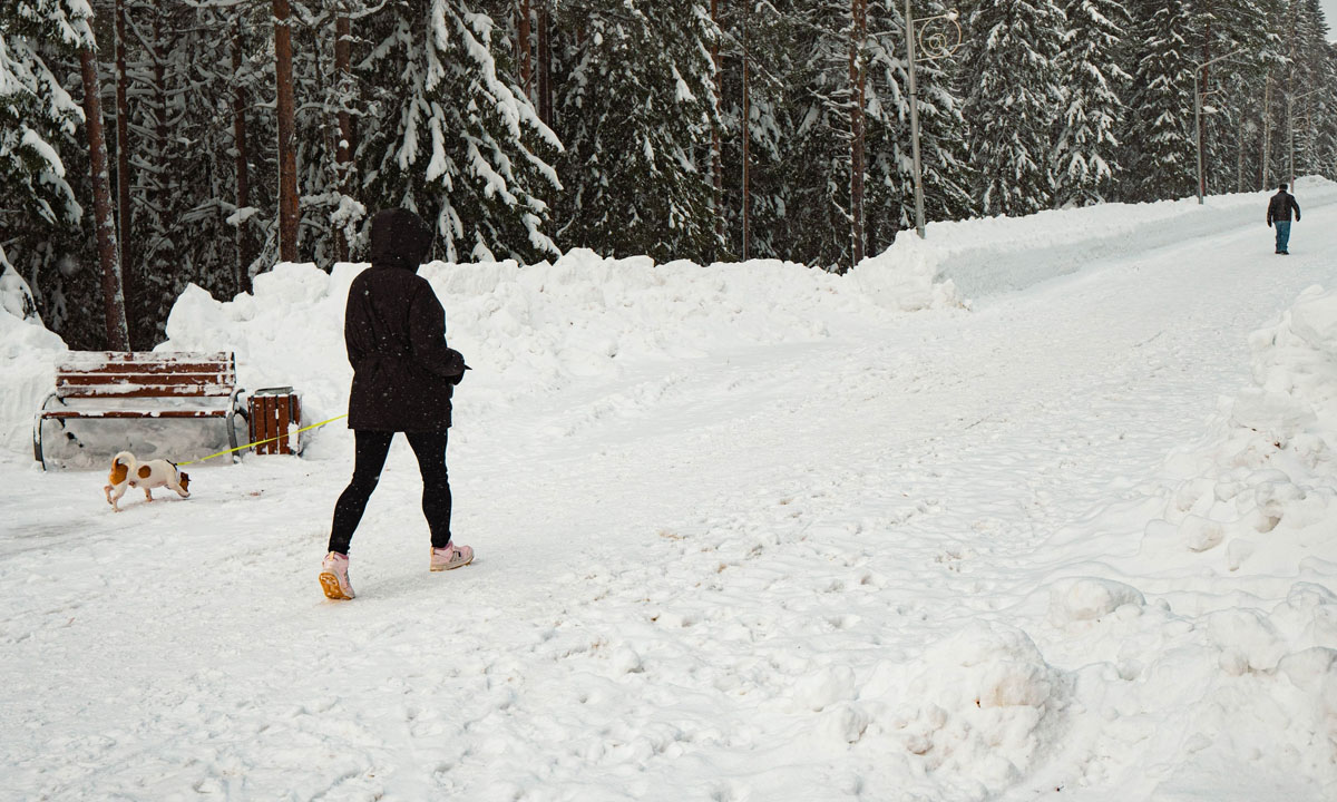 Жителям Карелии рассказали, сколько шагов надо пройти, чтобы сбросить 1 кг веса