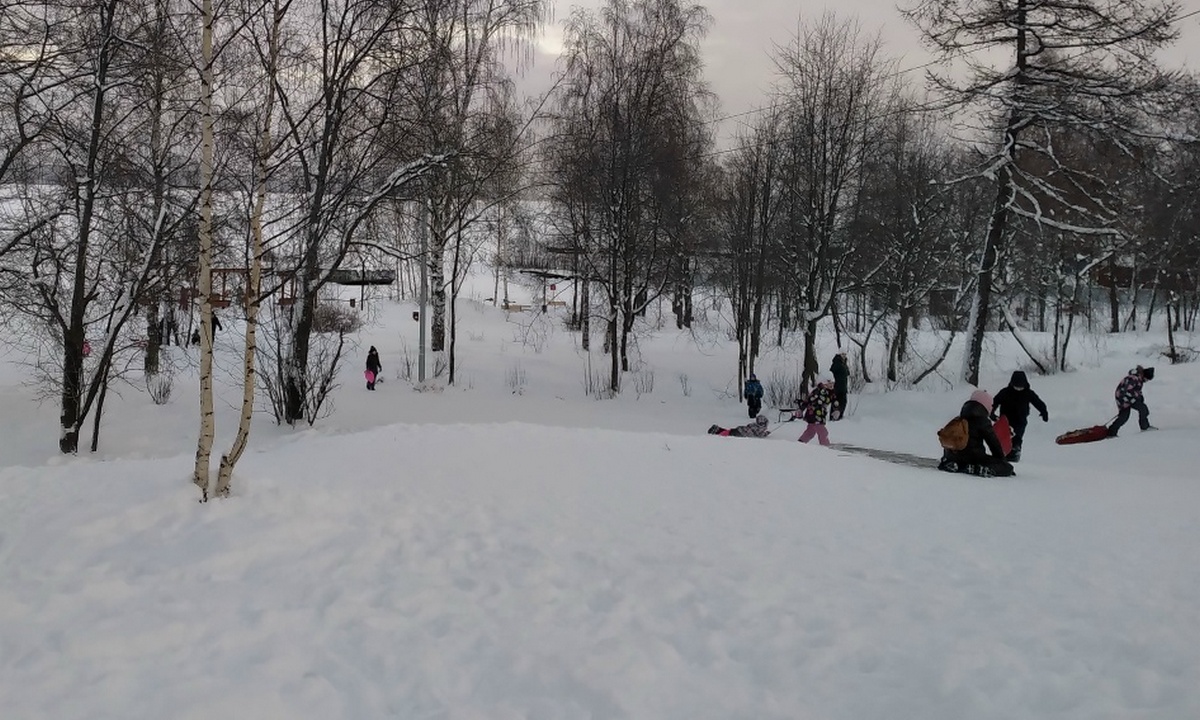 В Карелии дети тяжело покалечились при катании на «ватрушках»