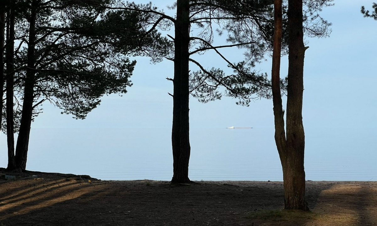 У жителя Карелии отобрали участок на берегу Онежского озера за 150 миллионов после того, как он выставил его на продажу