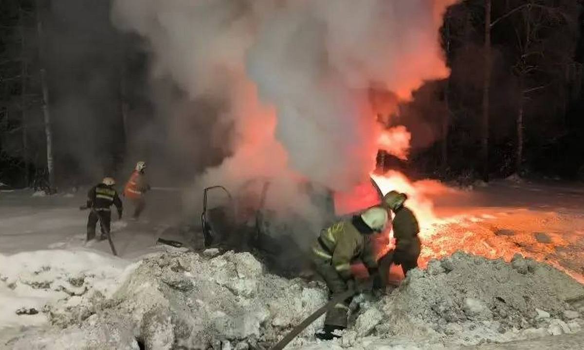 В Карелии Toyota сгорела на трассе за 20 минут