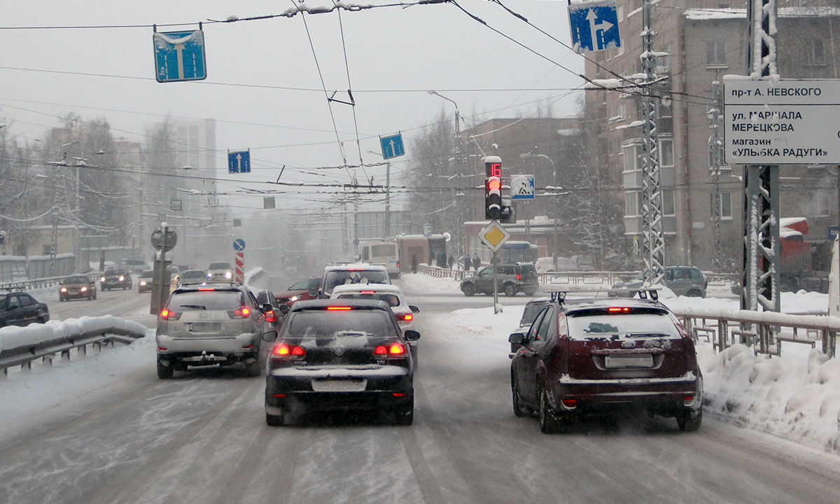 Житель Карелии лишился миллионов, пытаясь купить машину