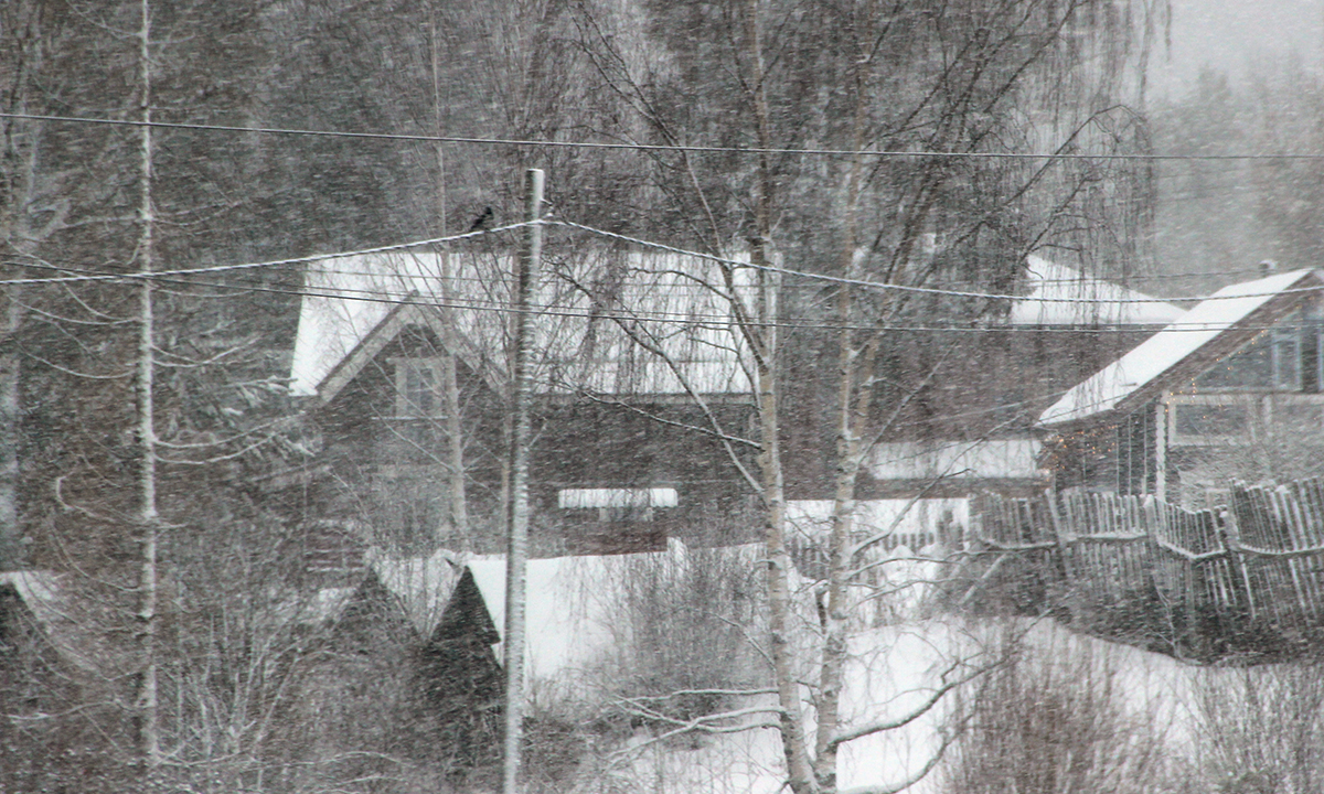 В Карелии предприниматель застроил участок, который должен был развивать