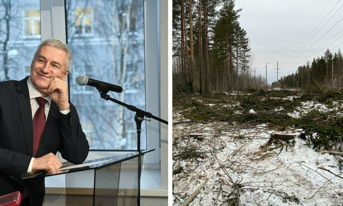 В Карелии построят биоэкопоселения из отходов