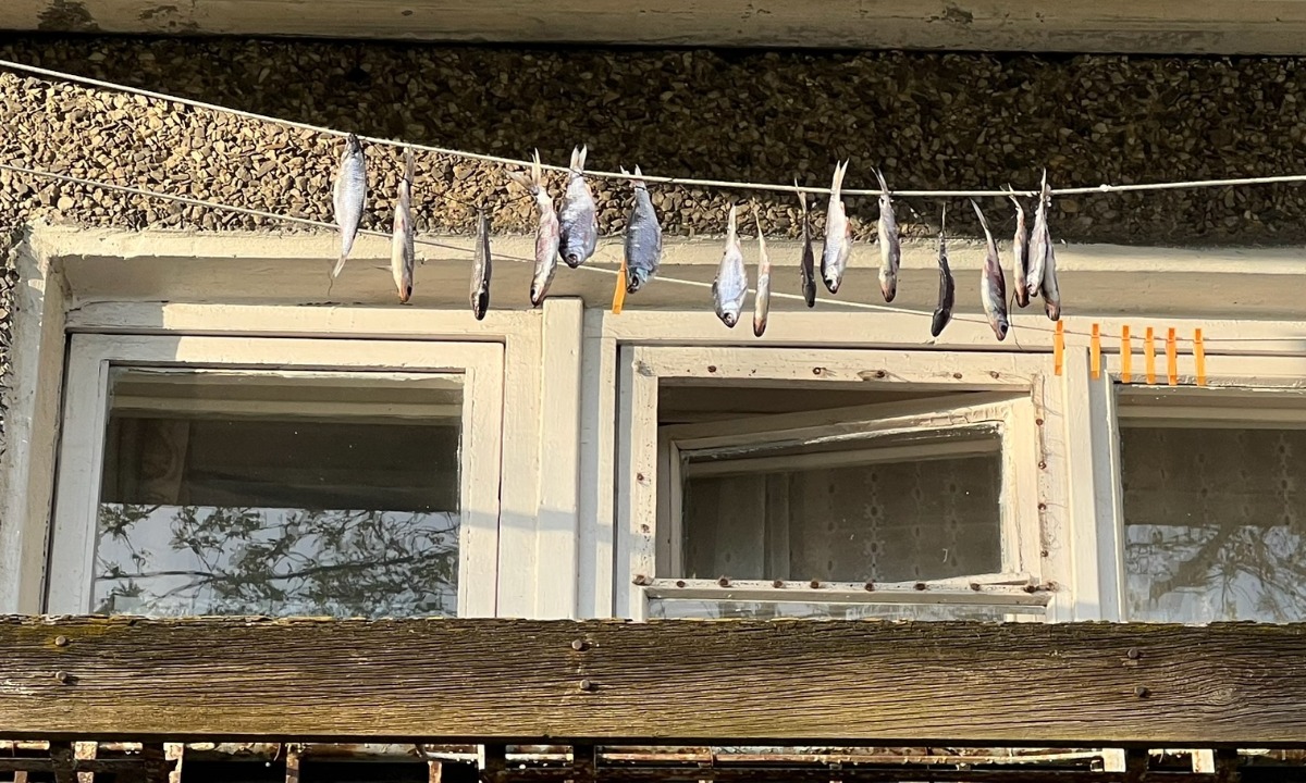 В Карелии рыбак ударил инспектора госконтроля в лицо