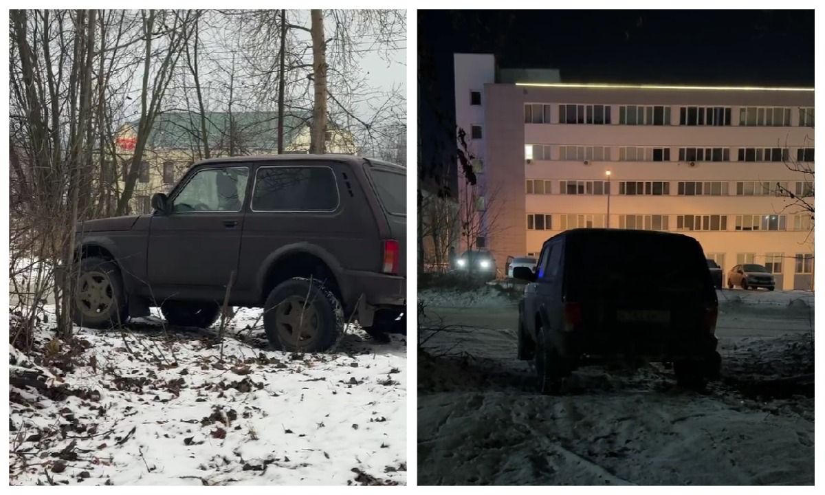 В Петрозаводске собаку сутками держат в машине