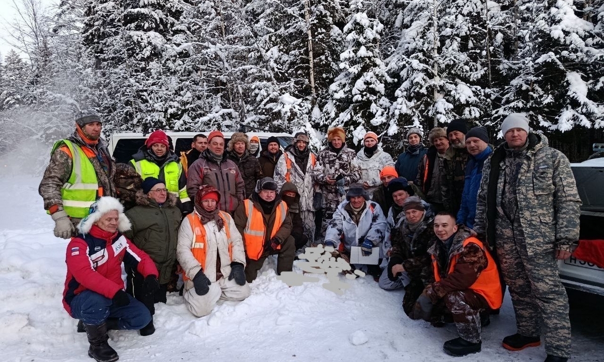 Названо, сколько волков убито в Карелии, и сколько платят за одного хищника