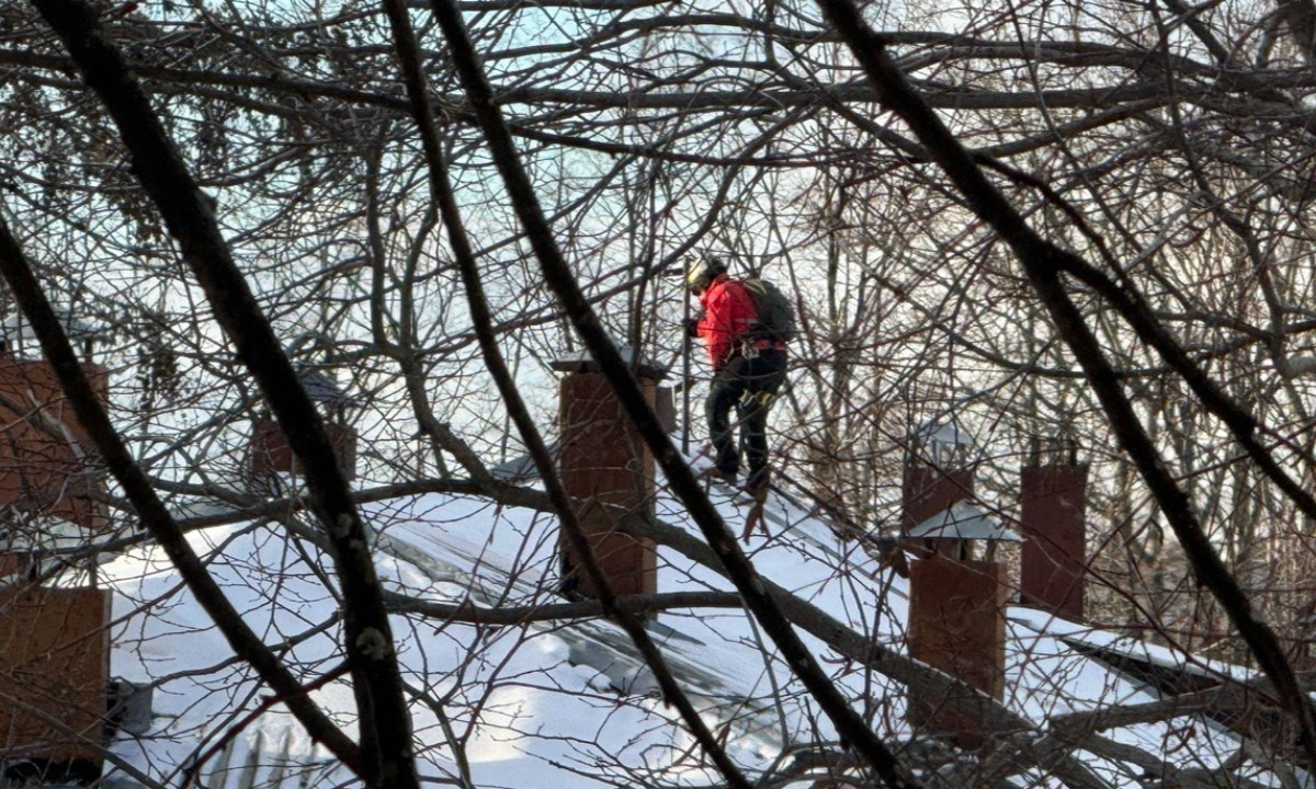 В Карелии директор управляющей компании похитил миллионы на капремонте