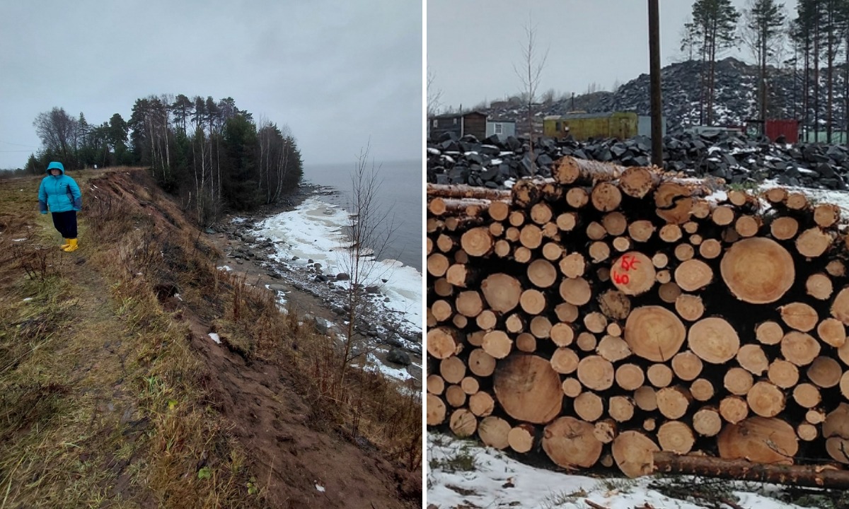 В Карелии разрушается берег Онежского озера: под угрозой дома и старинное кладбище