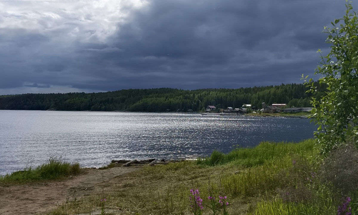 В Карелии незаконно построили дома и турбазу на берегу Белого моря