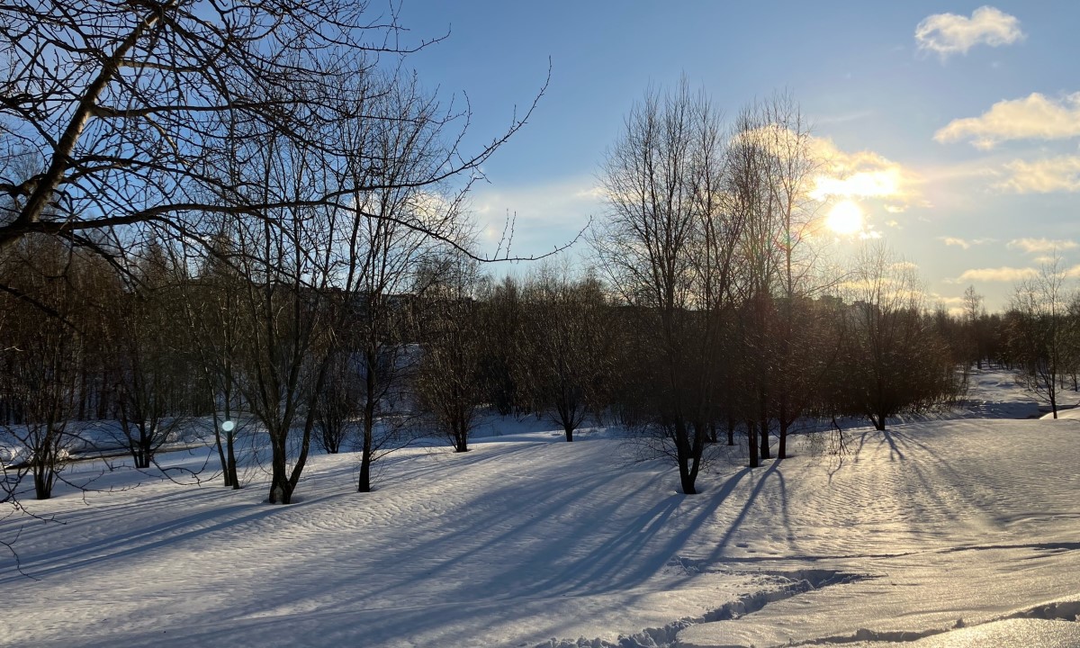 Стало известно, какая погода будет 23 февраля в Карелии