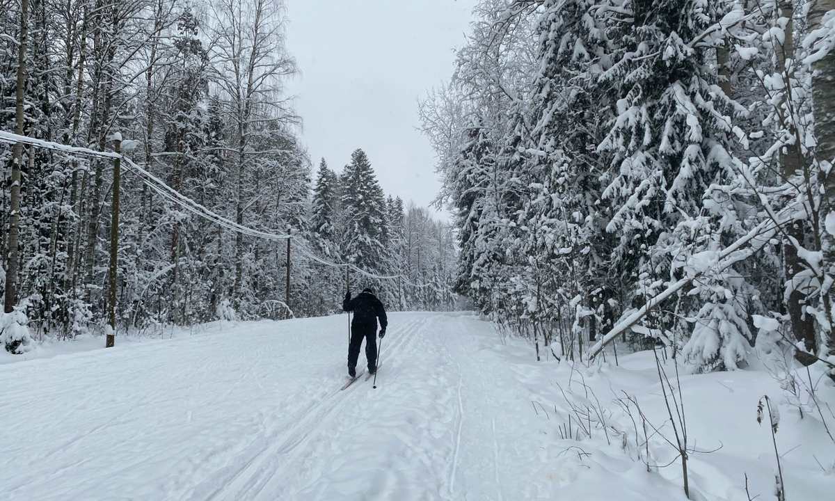 В Карелии пропал 44-летний лыжник