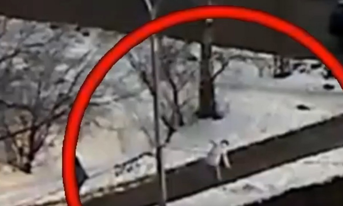 Появилось видео, как беременная упала на скользкой дороге в Петрозаводске