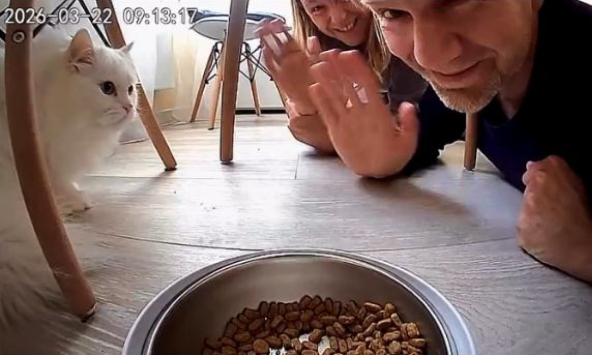 «Не думала, что это увидят миллионы