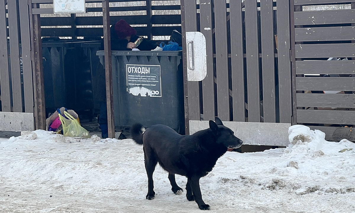 Карелия все еще входит в топ регионов страны по сортировке отходов