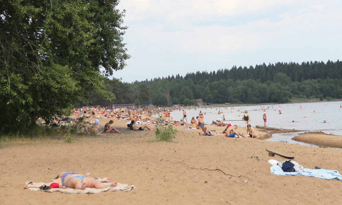 «Феномен «якорения». Названо, что нужно трогать, чтобы снизить стресс