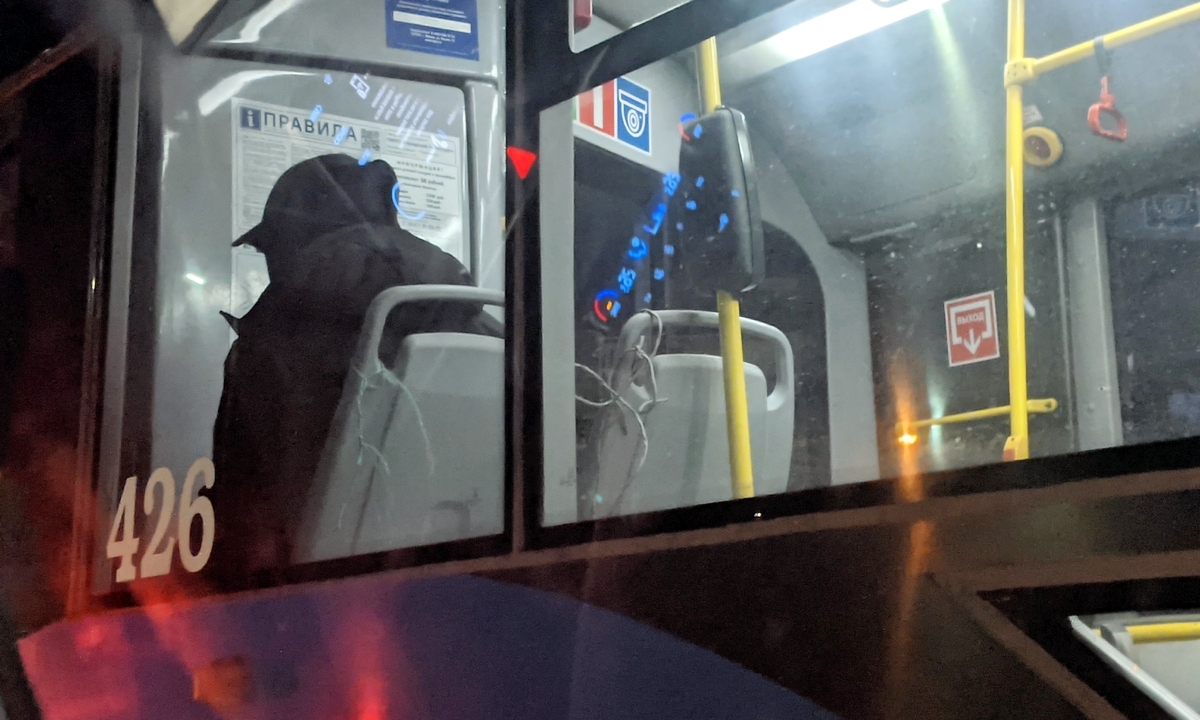 В Петрозаводске студент поздно рассказал маме о мошенниках