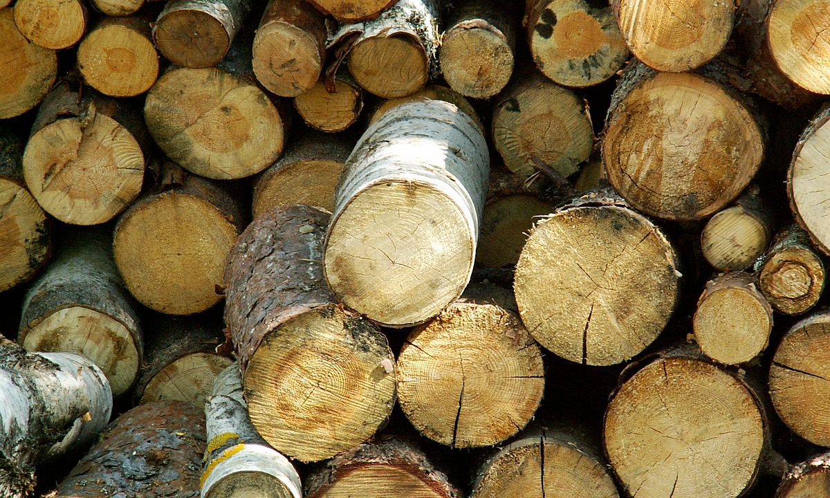 В Карелии мужчина топил чужой дом чужими дровами