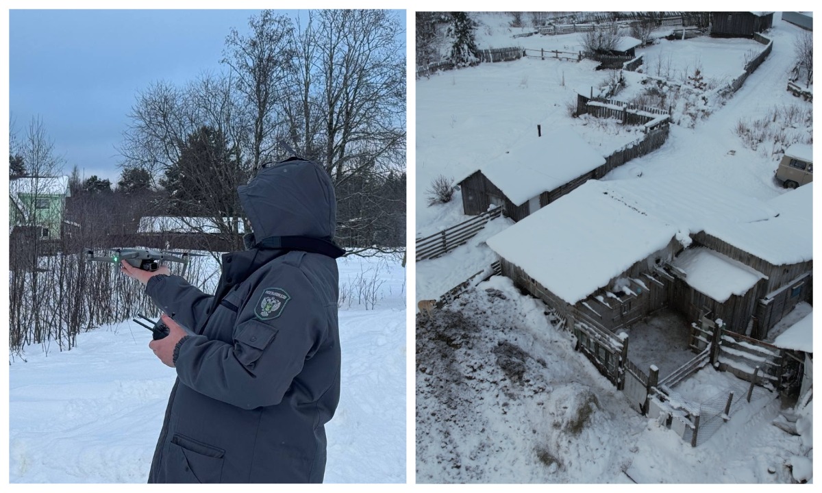Дроны помогли обнаружить антисанитарию на фермах Карелии