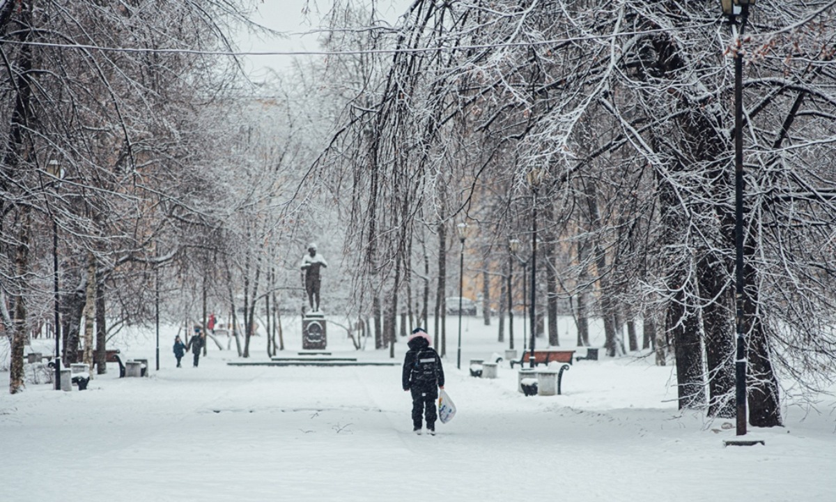 В одном из парков Петрозаводска било током от столбов