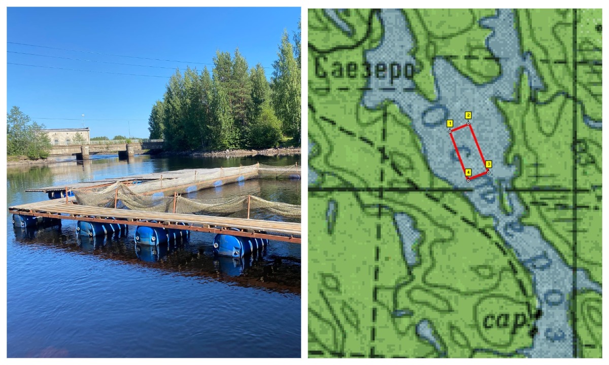 В Карелии еще одно озеро хотят отдать форелеводам