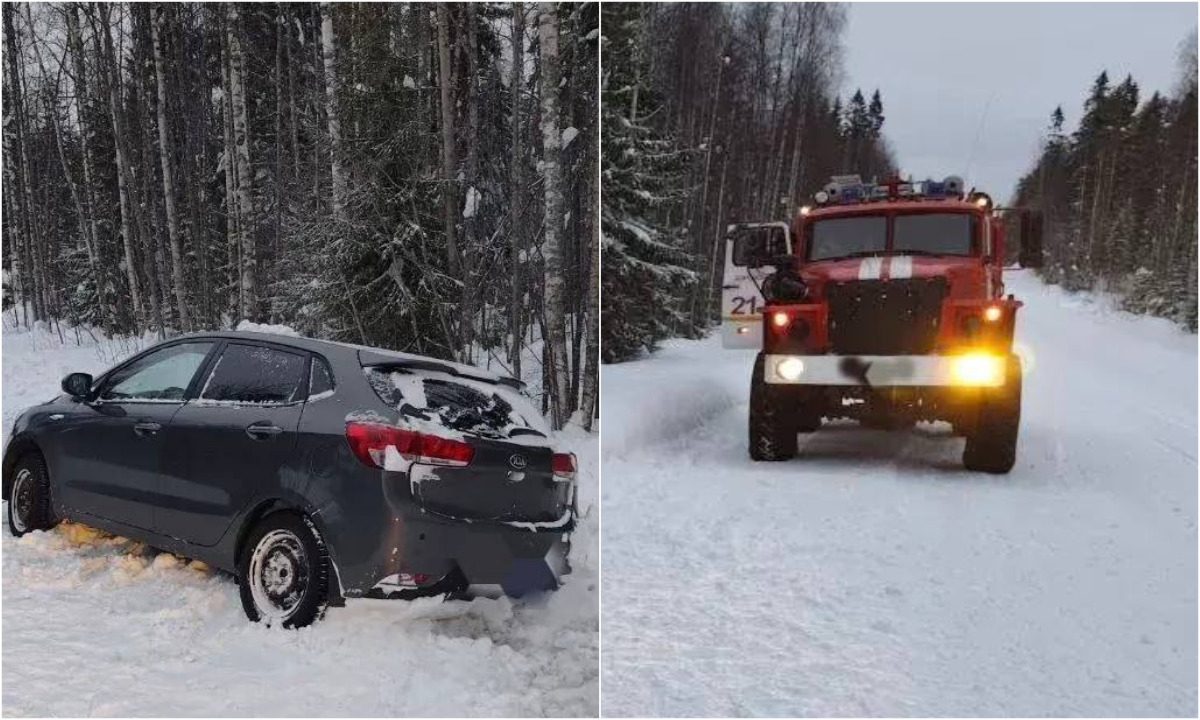 В Карелии девушка и двое детей улетели на машине в кювет 8 Марта
