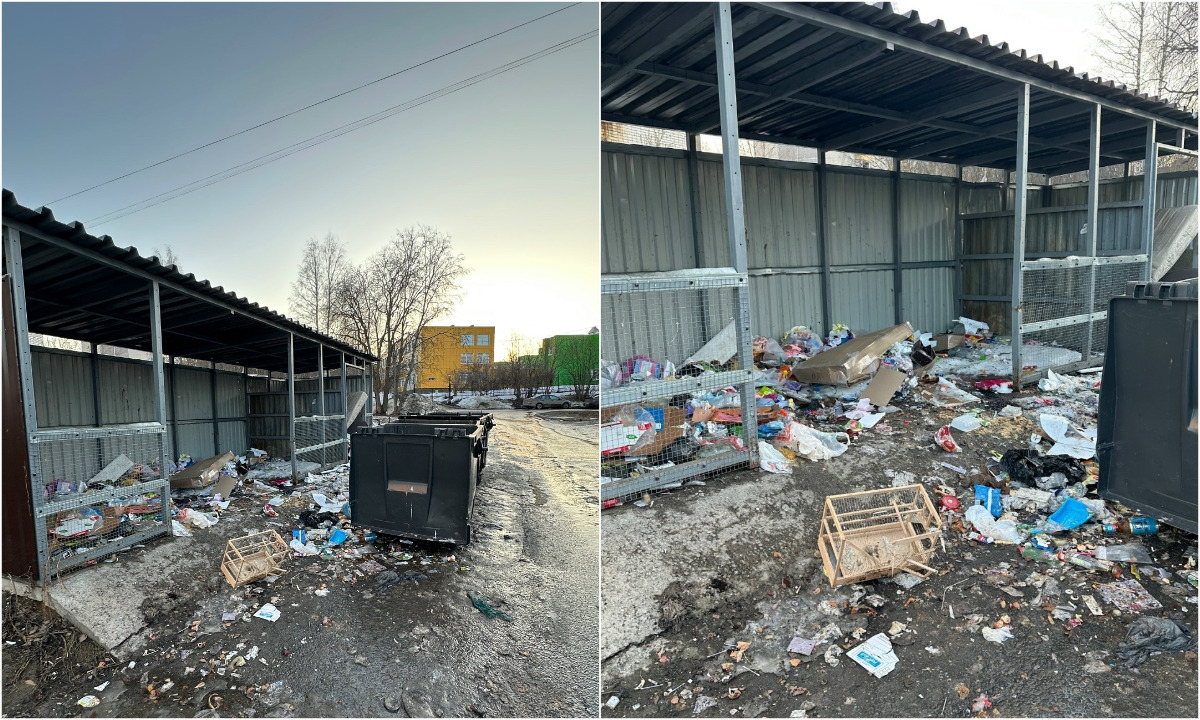 В Петрозаводске пустые контейнеры вынесли на дорогу, а горы мусора заполонили площадку