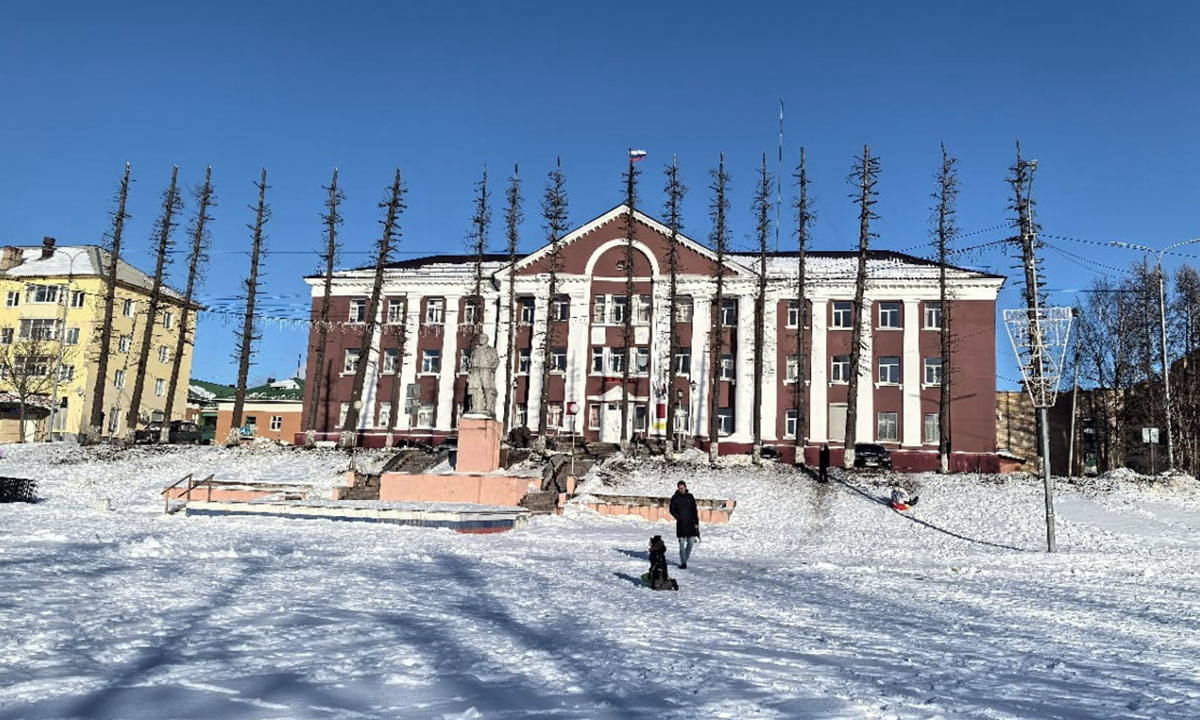 В карельском городе лиственницы превратили в обрубки