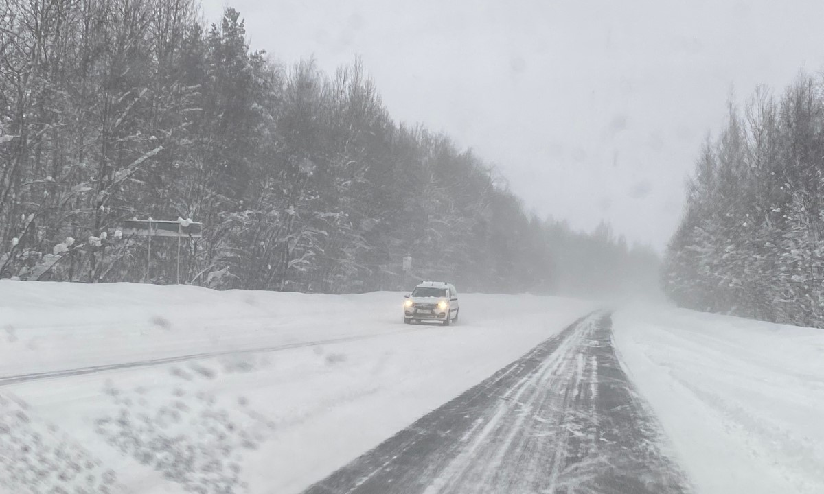 В начале апреля в Карелии обещают снегопады
