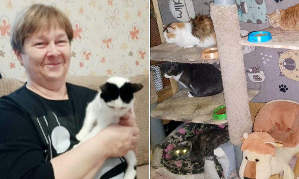 В Карелии пенсионерка создала кошачий рай и пристроила больше 100 животных
