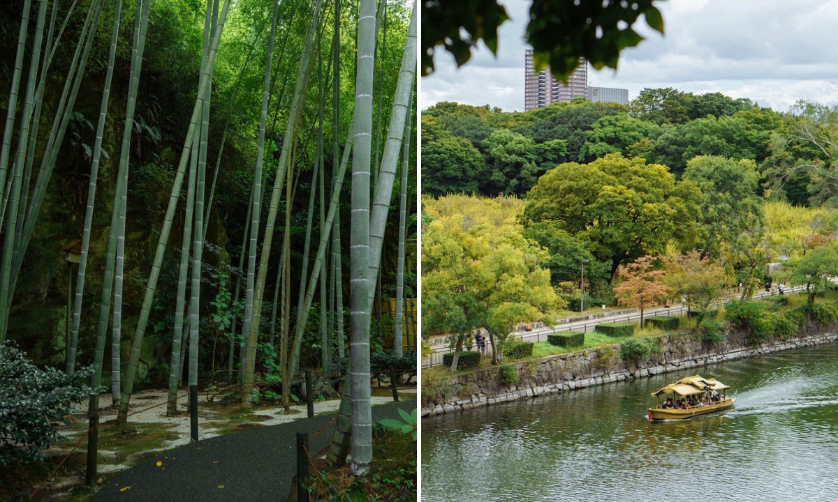 На майские праздники россияне массово рванут в недружественную страну