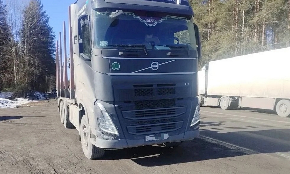 В Карелии водителя накажут за то, что он вовремя не поспал