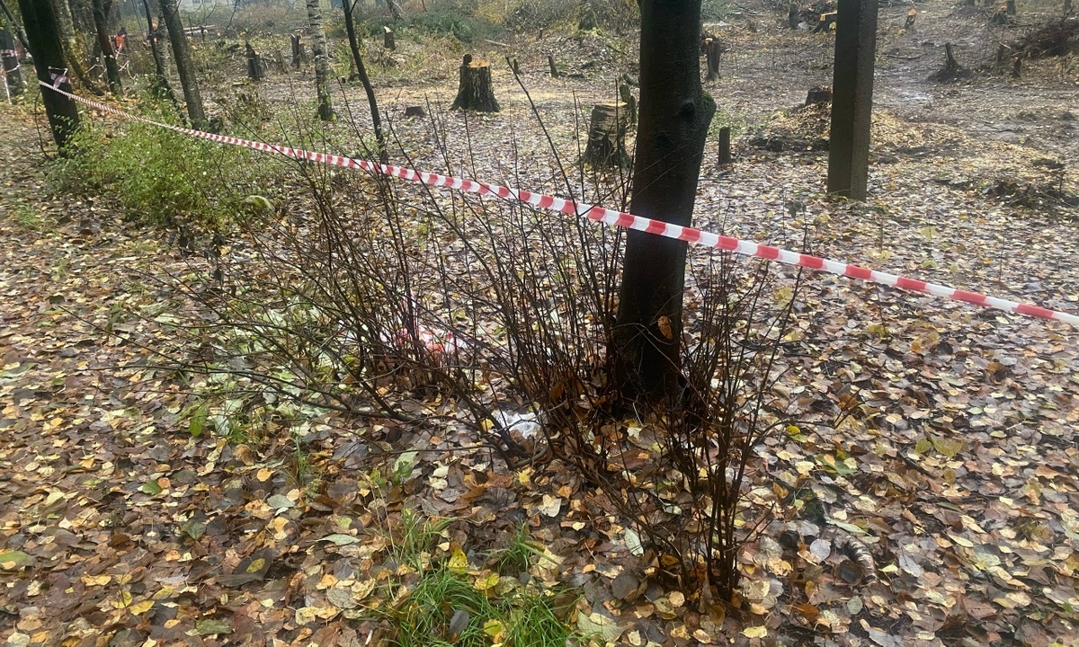 Следователи рассказали, как в Петрозаводске сорвалось заказное убийство, бомба не взорвалась