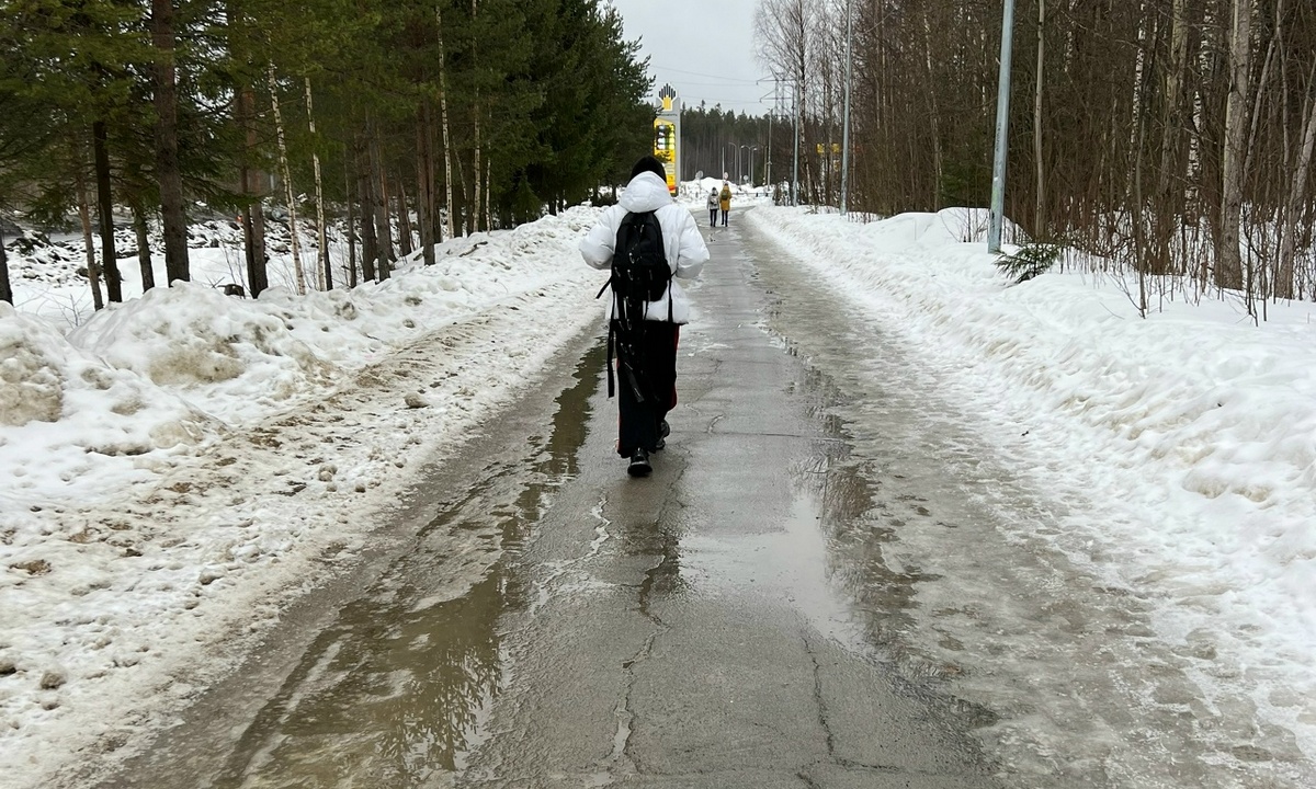 Подросток почти год готовил массовое убийство в школе