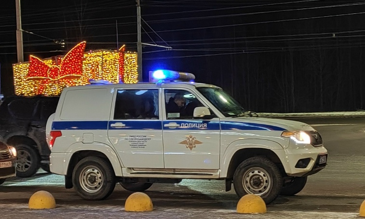 В Карелии мужчина выпил бутылку мартини и снес собаку в чужом дворе