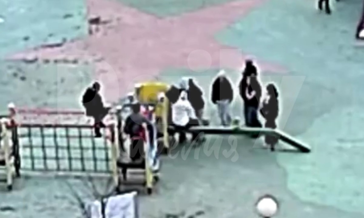 В Петрозаводске «дикие» девочки напали на людей из-за телефона: дело контролирует Следком России