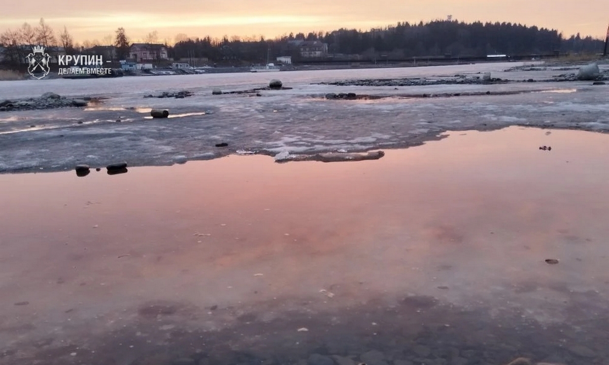 В Карелии мужчина и ребенок чуть не погибли из-за сбежавшей собаки