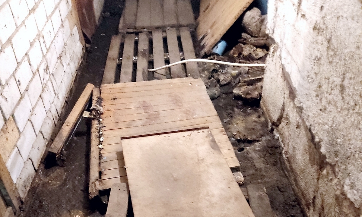 В Карелии управляшка заплатит за жутко грязный подвал 