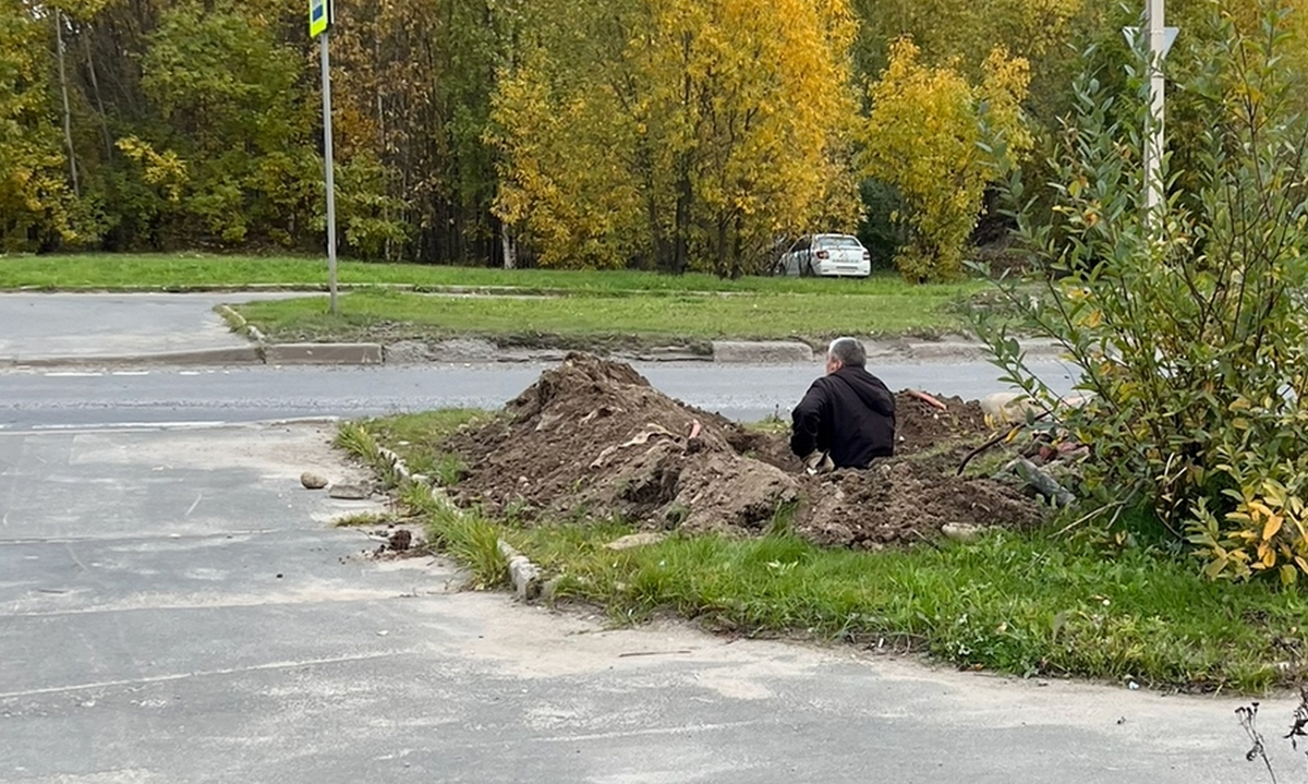 Распределены 49 миллионов на районы Карелии: на что их потратят?