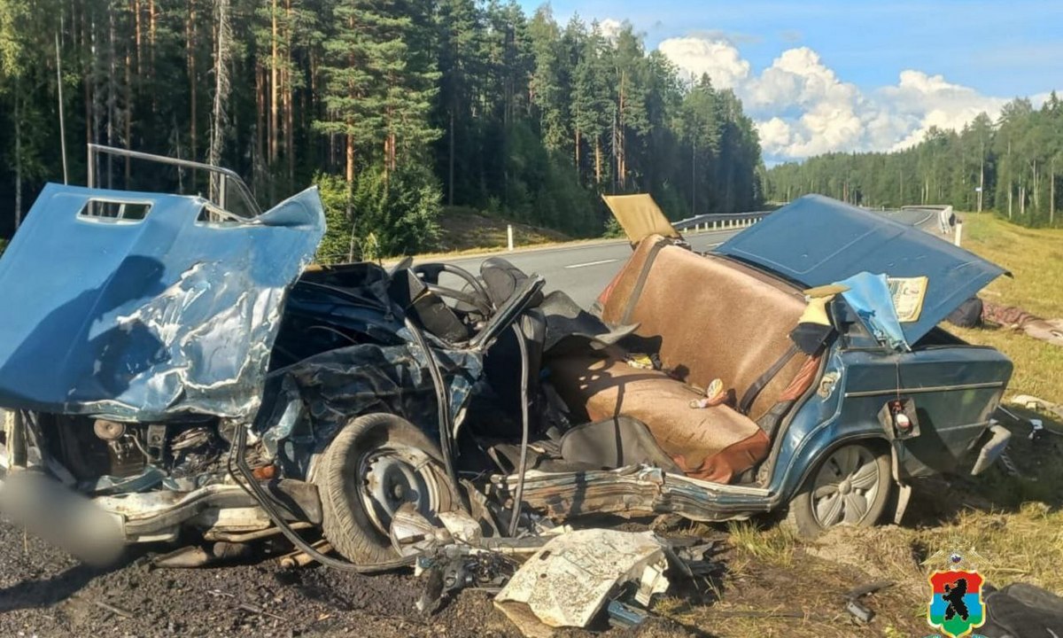 В Карелии жительницу Москвы судят за гибель отца и сына