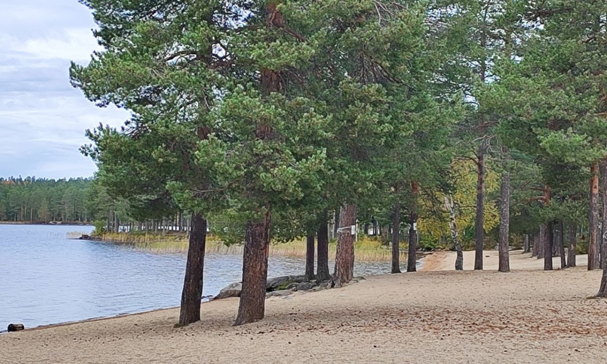 В Карелии известному загородному клубу придется снести постройки на берегу озера