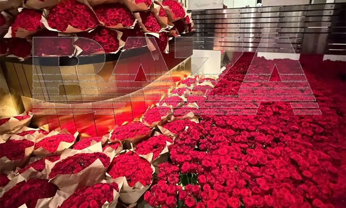 Дорогое признание в любви: в подъезд дома доставили миллион роз