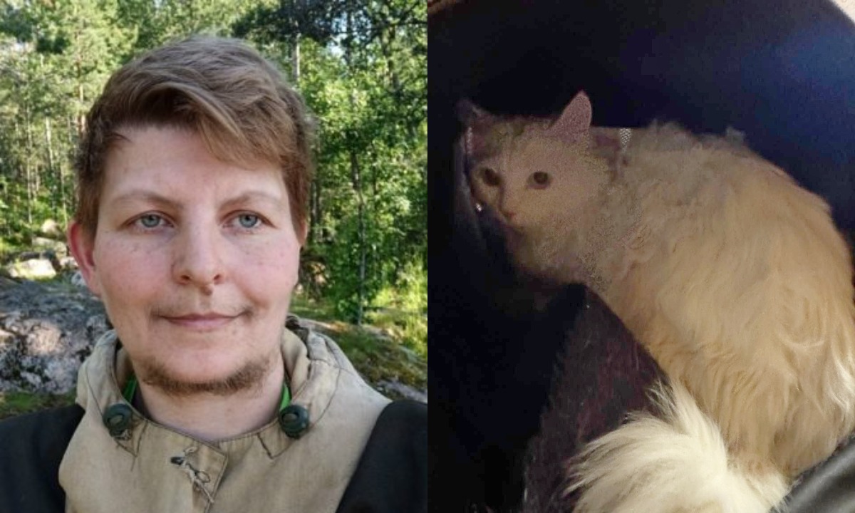 «Это роковое стечение обстоятельств»: людей, которые два месяца искали кота Фаразона, начали травить в соцсети!