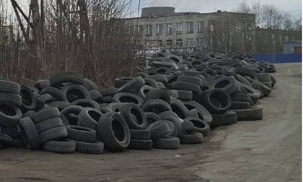 Нашли тех, кто незаконно выбрасывает покрышки в Петрозаводске