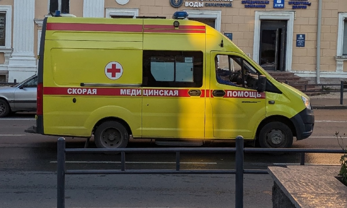 Подростки попали в реанимацию после укусов клещей