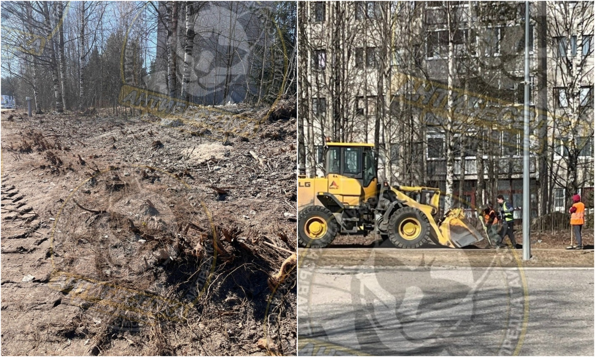 «Чем не вредительство?» В городе Карелии уборочная техника уничтожила газоны