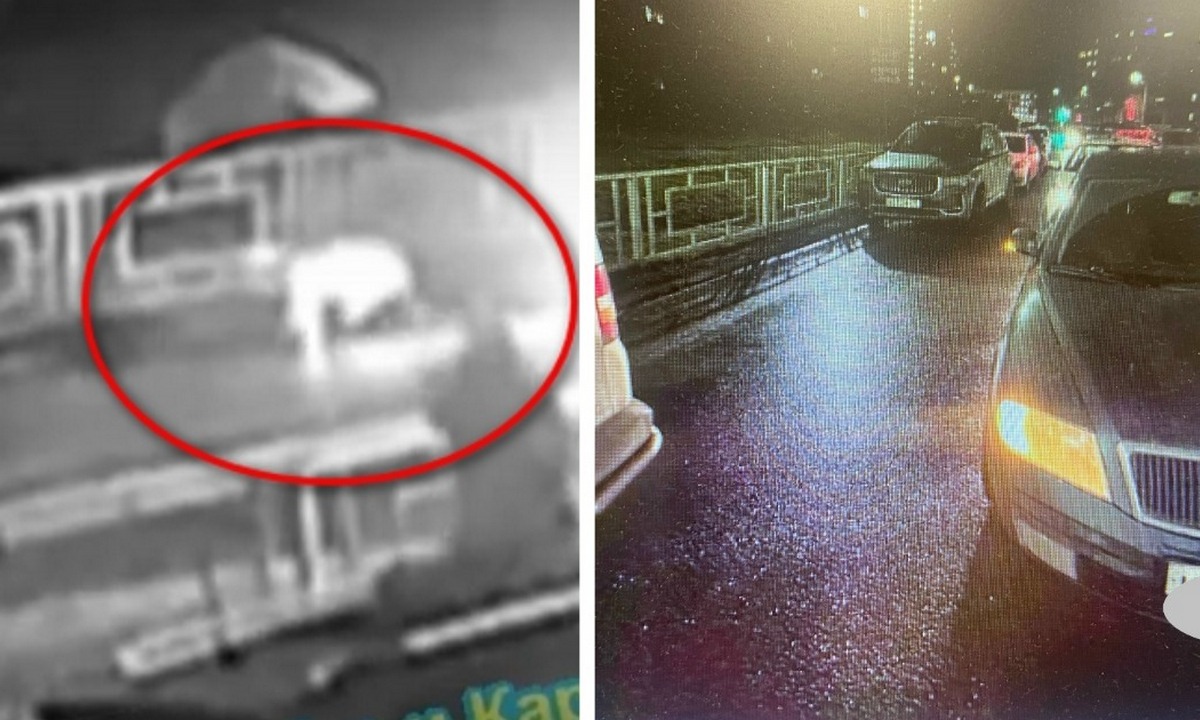 В Карелии водитель сбил девочку на велосипеде и скрылся