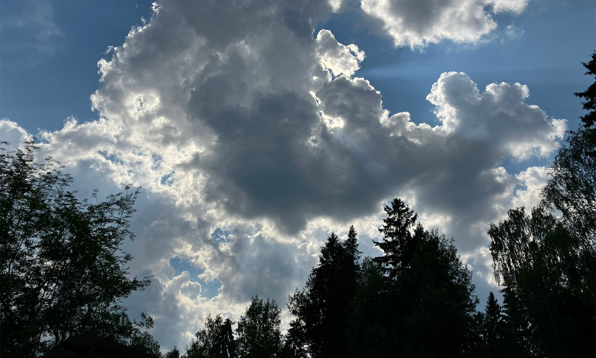 Жителей Карелии предупредили о загрязнении воздуха