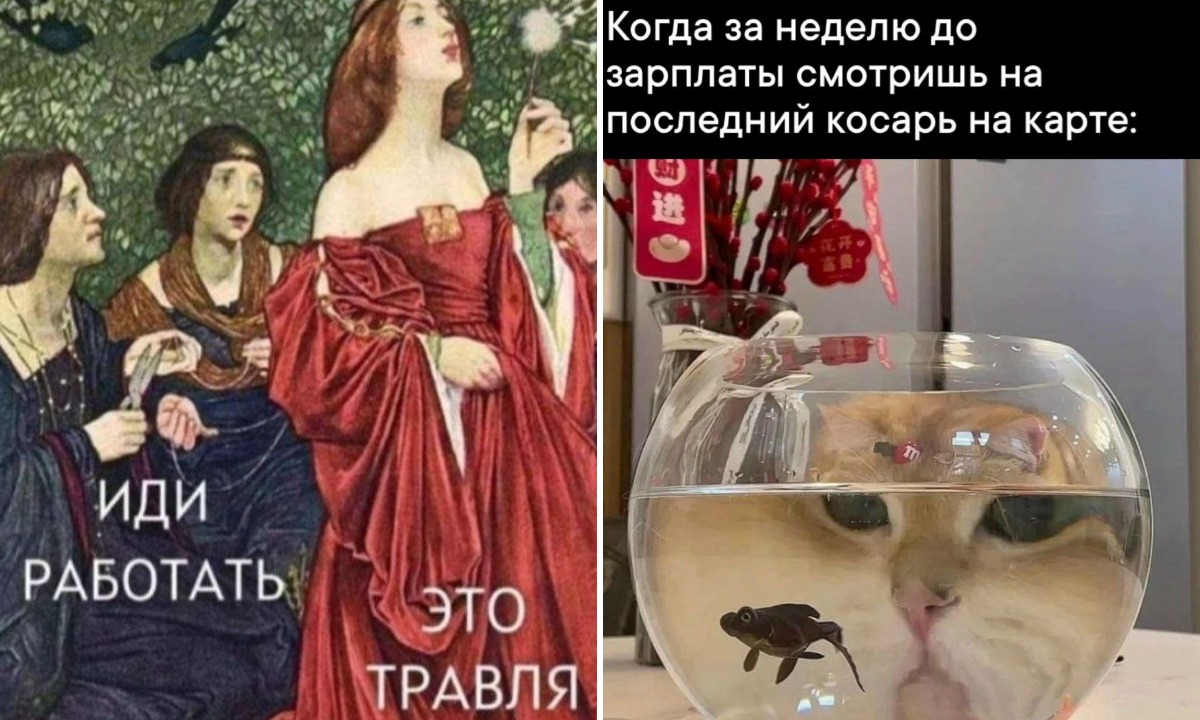 Мемы помогают вылечить простуду