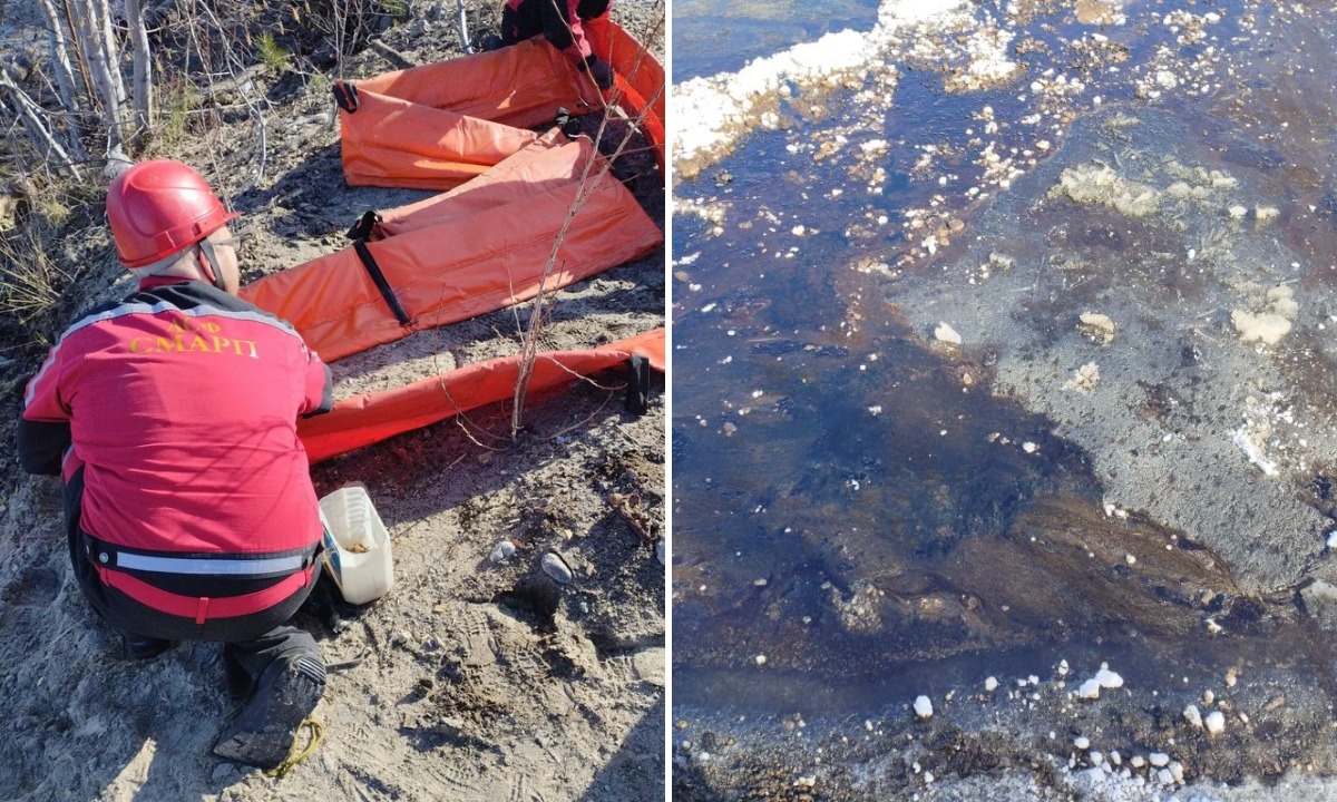 По озеру в Карелии разлилось талловое масло, токсичное для рыбы