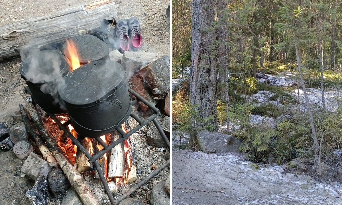 В двух районах Карелии ввели противопожарный режим. Штрафы — до 800 тысяч рублей